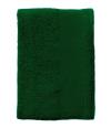 89000SOL'S  Island 50 Hand Towel Bottle Green colour image